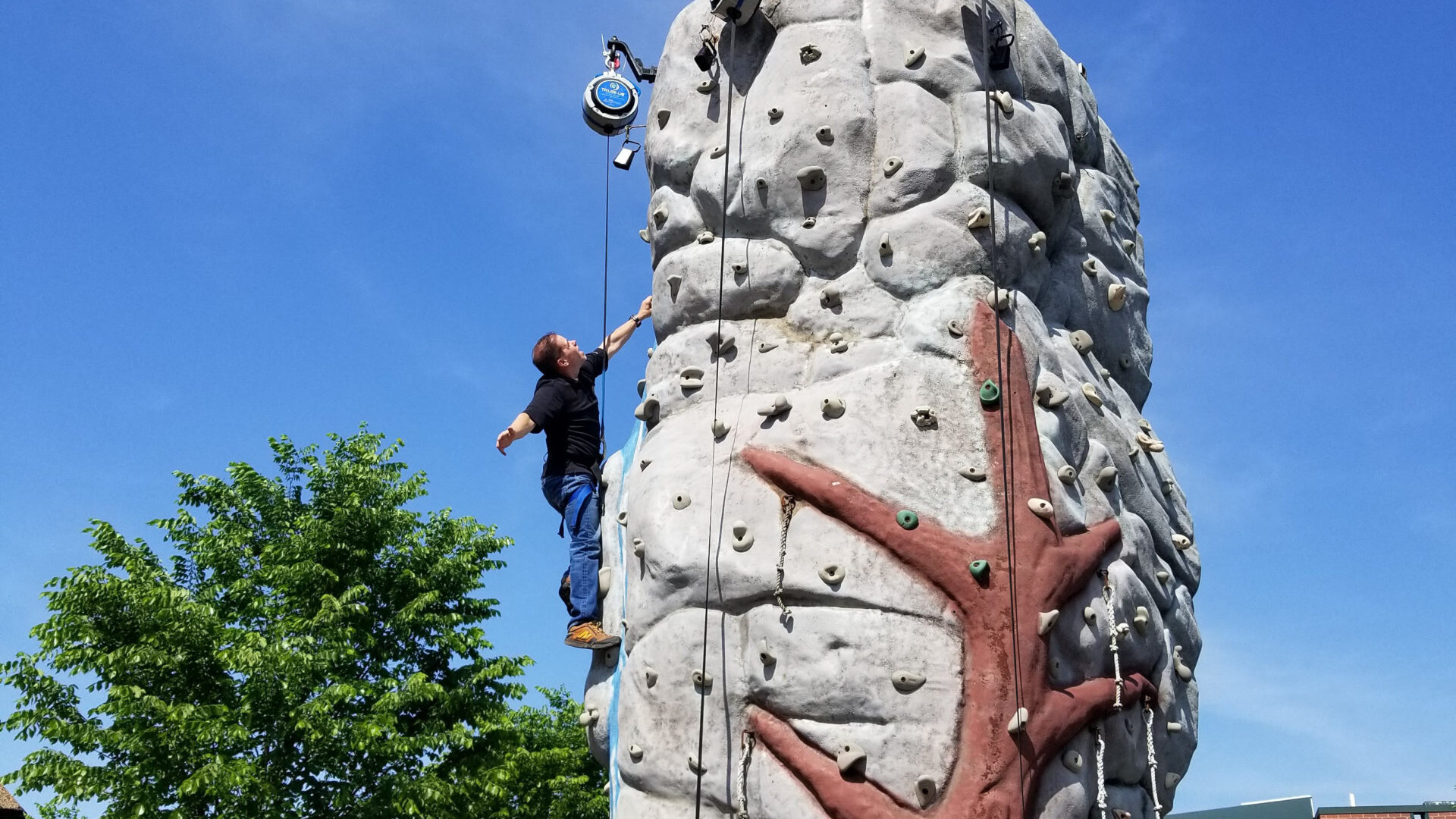 A man almost at the top of a mobile rock-climbing wall rental.
