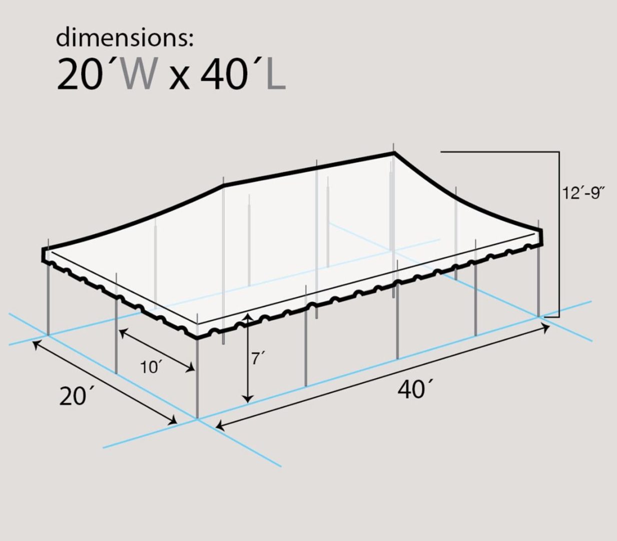 20' x 40' Canopy Tent The Fun Ones